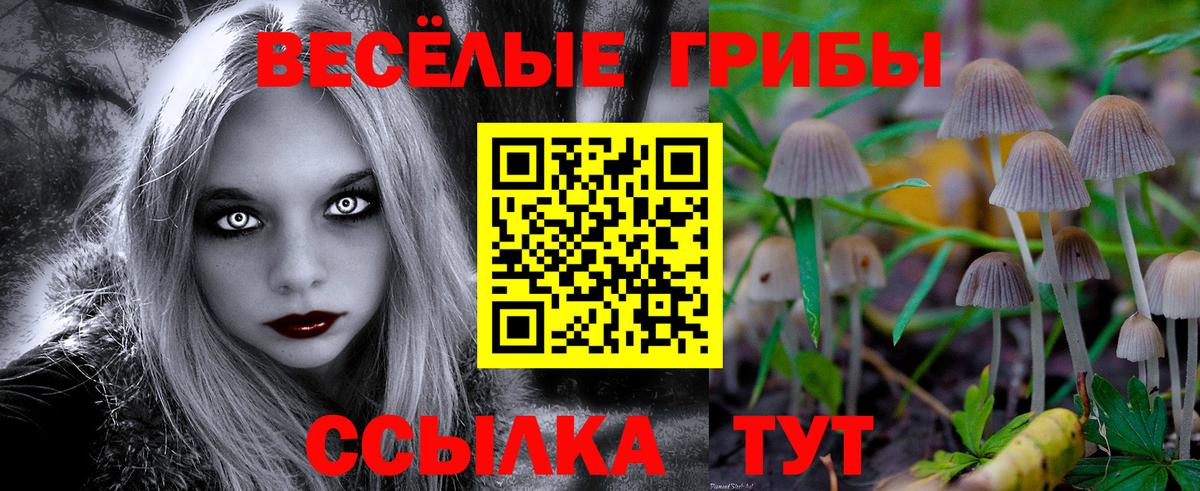 Лосино-Петровский  Галлюциногенные грибы Magic Shrooms  Вход с VPN 
